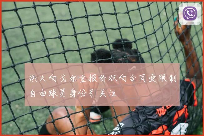 热火向戈尔金报价双向合同受限制自由球员身份引关注
