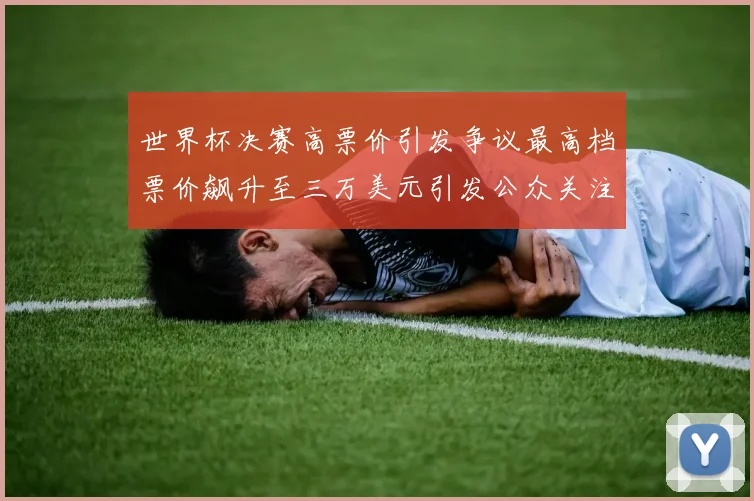 世界杯决赛高票价引发争议最高档票价飙升至三万美元引发公众关注