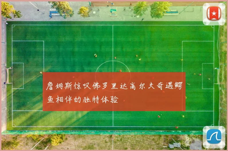 詹姆斯惊叹佛罗里达高尔夫奇遇鳄鱼相伴的独特体验